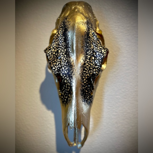 💀✨ hand painted cow elk skull - Picture 3 of 7